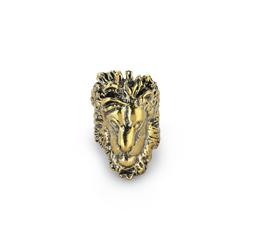 🦁🦁🦁